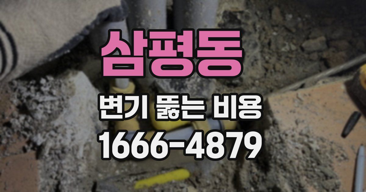 삼평동 변기 뚫는 비용