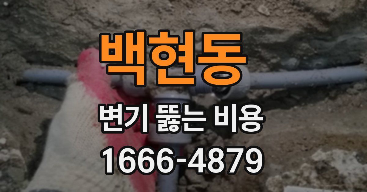 백현동 변기 뚫는 비용