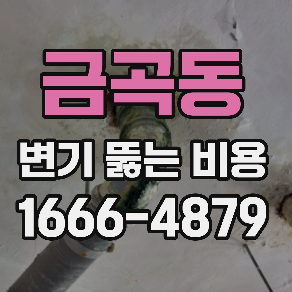 금곡동 변기 뚫는 비용