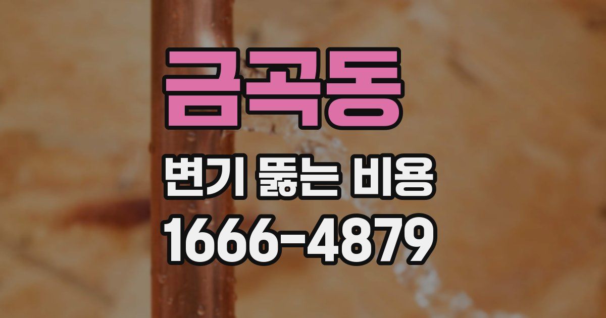 금곡동 변기 뚫는 비용