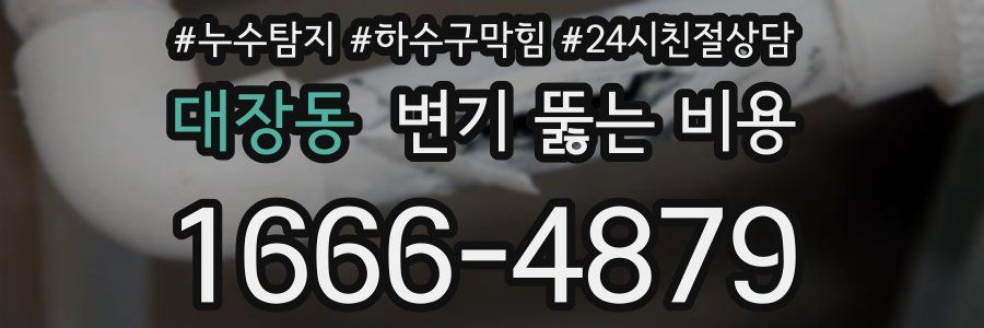 대장동 변기 뚫는 비용
