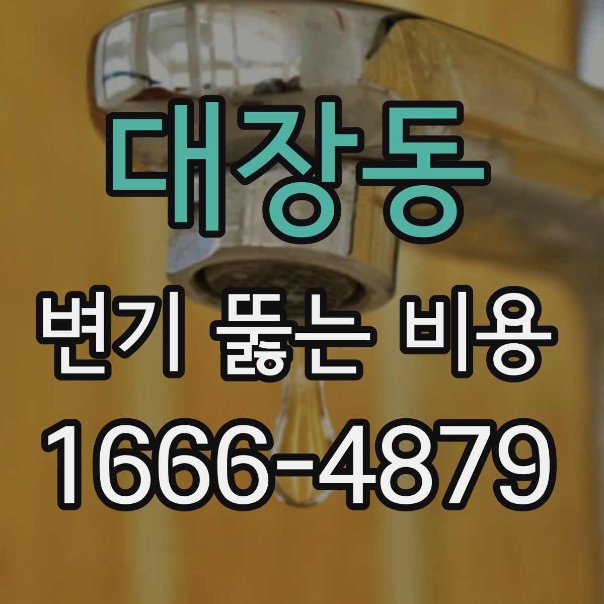 대장동 변기 뚫는 비용