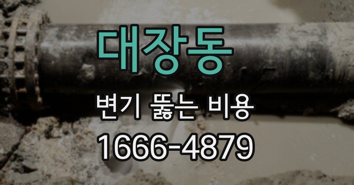 대장동 변기 뚫는 비용