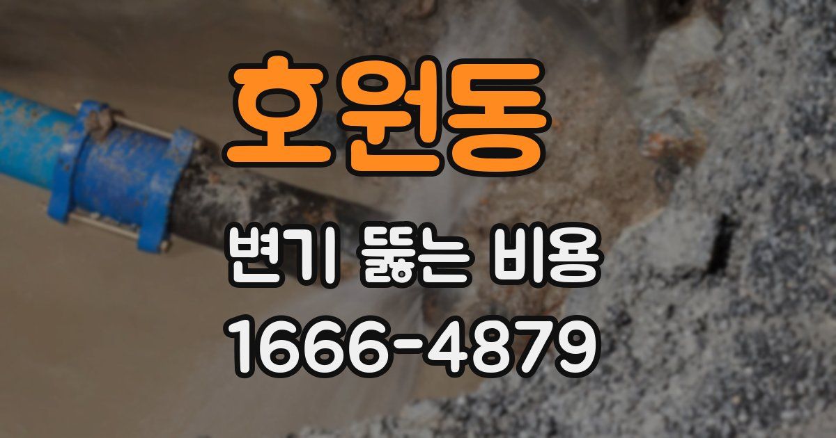 호원동 변기 뚫는 비용
