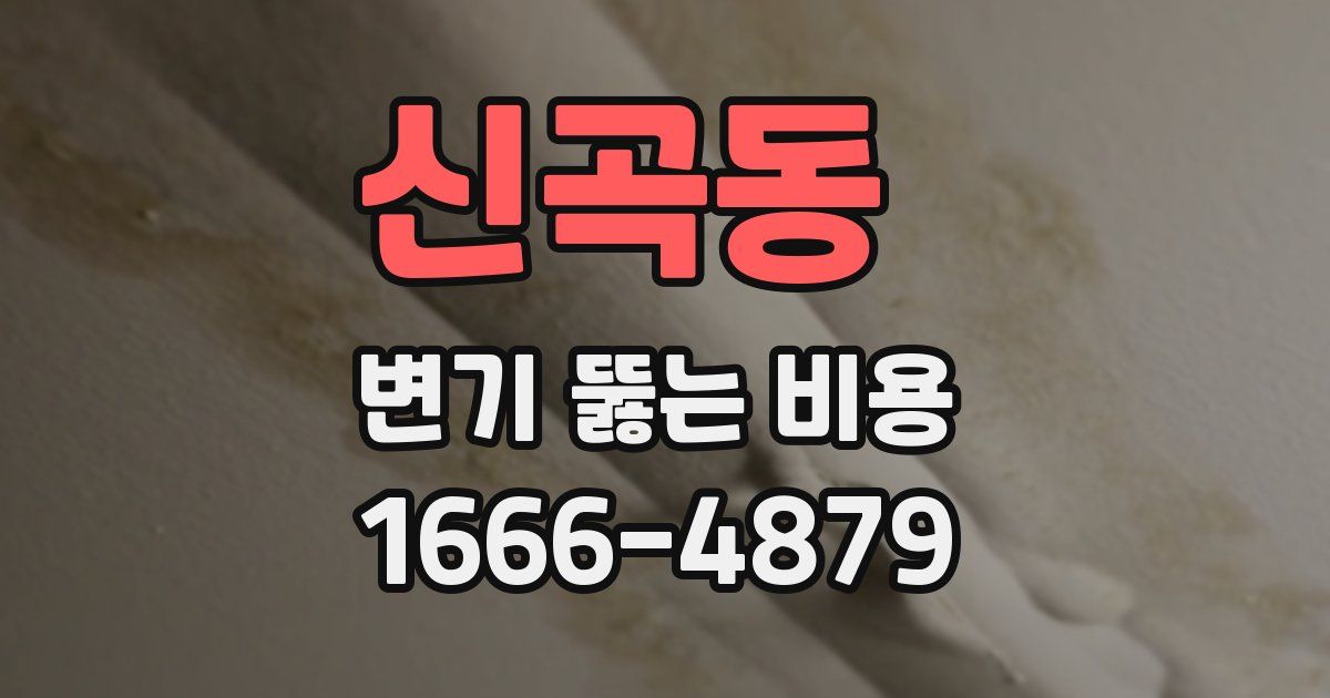 신곡동 변기 뚫는 비용