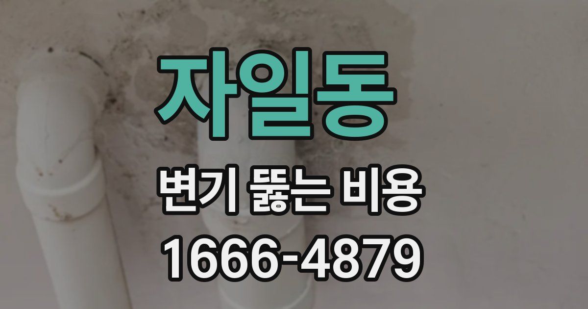 자일동 변기 뚫는 비용