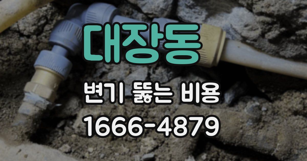 대장동 변기 뚫는 비용