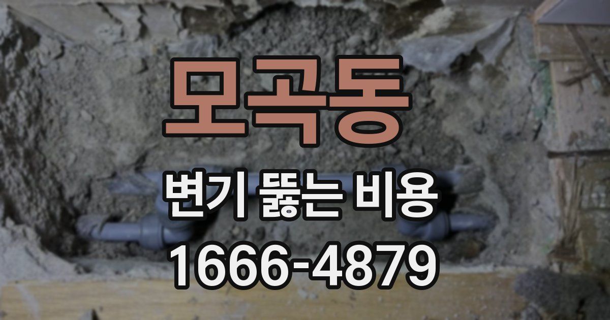 모곡동 변기 뚫는 비용