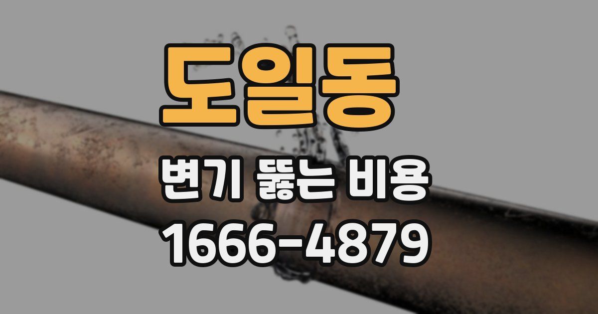 도일동 변기 뚫는 비용