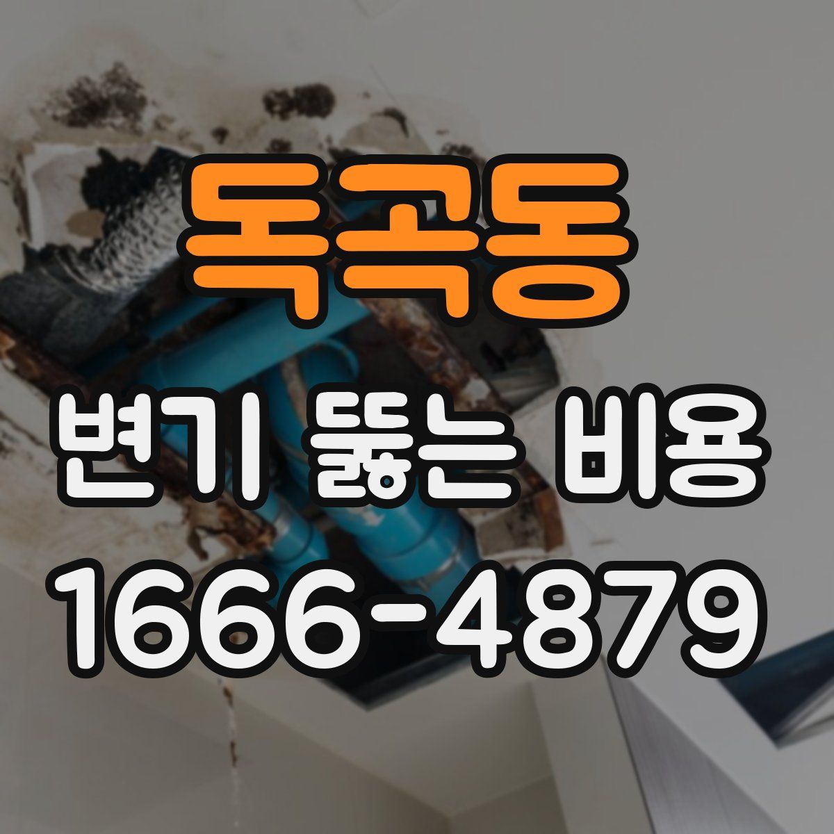 독곡동 변기 뚫는 비용