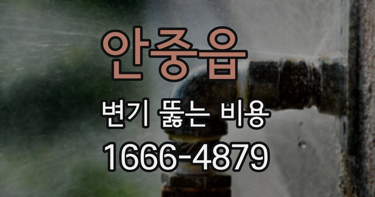 안중읍 변기 뚫는 비용