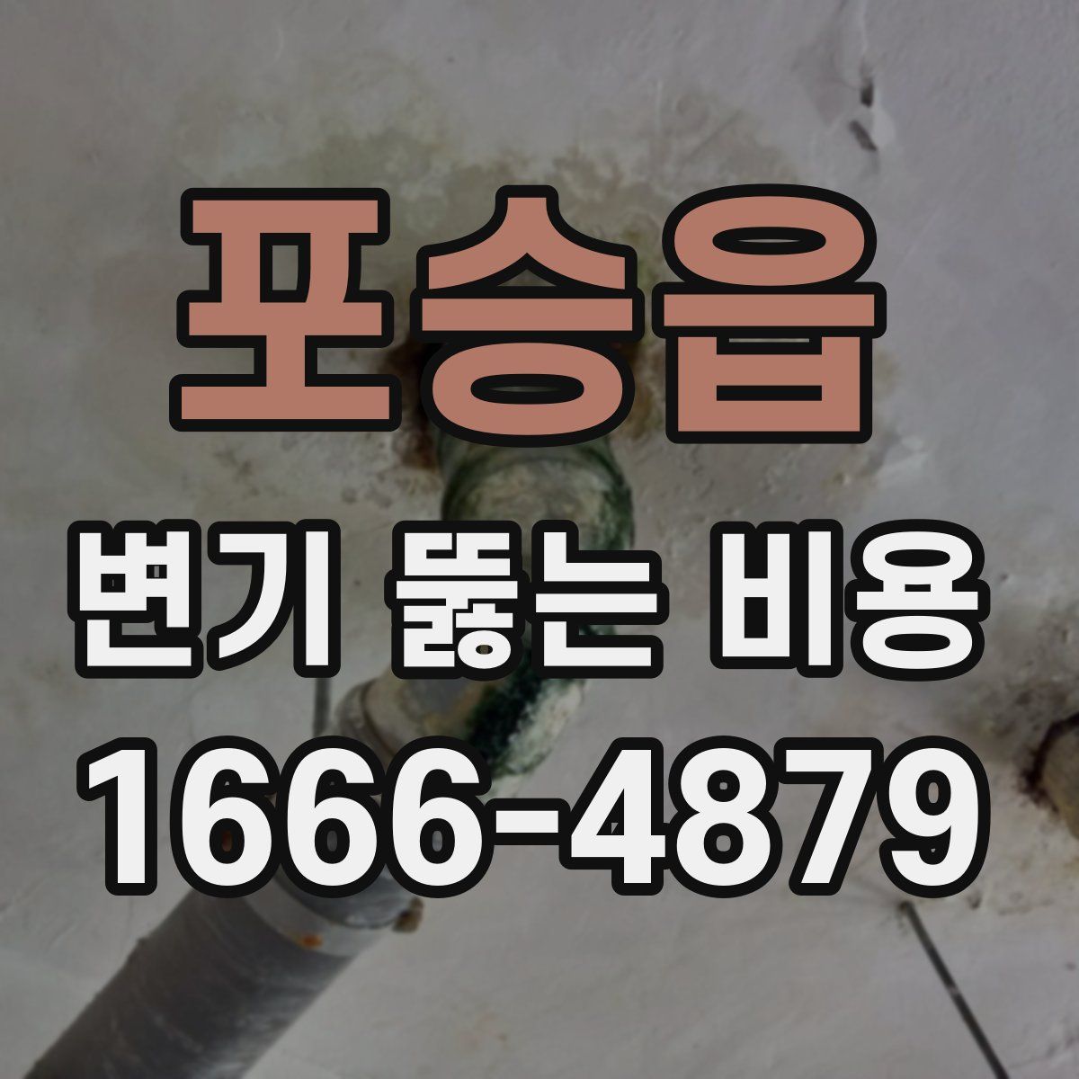 포승읍 변기 뚫는 비용