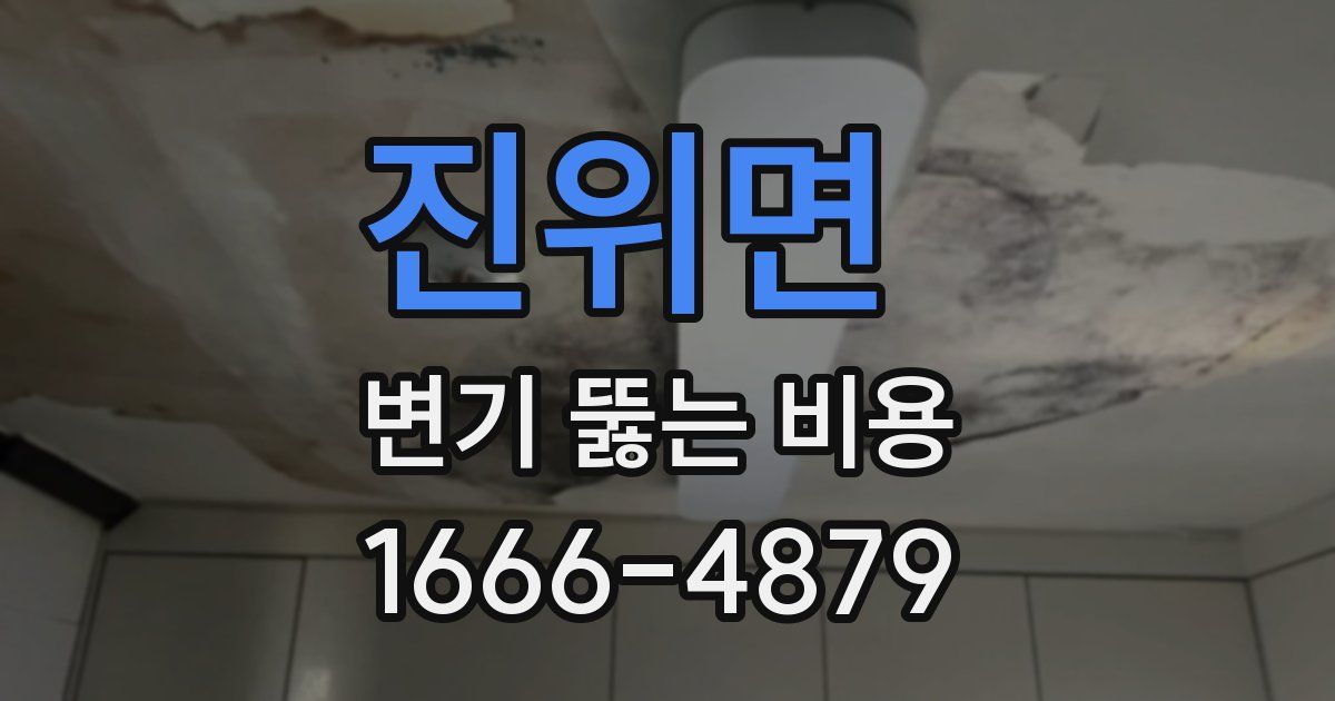 진위면 변기 뚫는 비용
