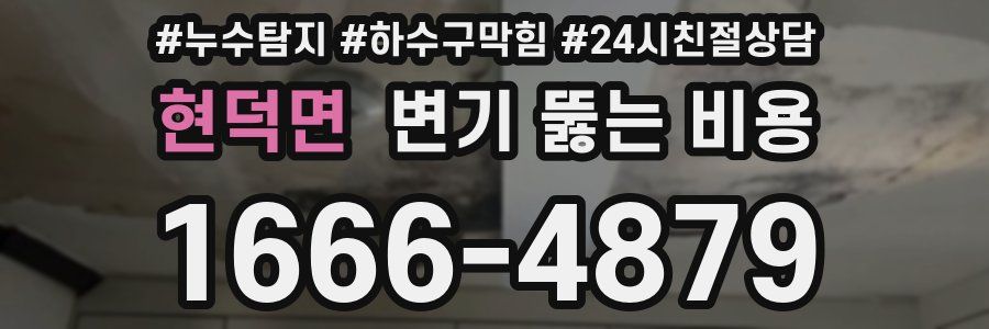 현덕면 변기 뚫는 비용