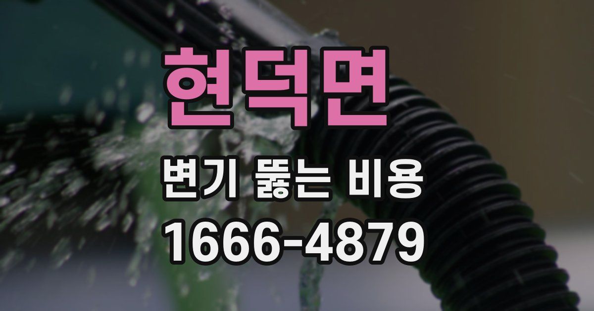 현덕면 변기 뚫는 비용