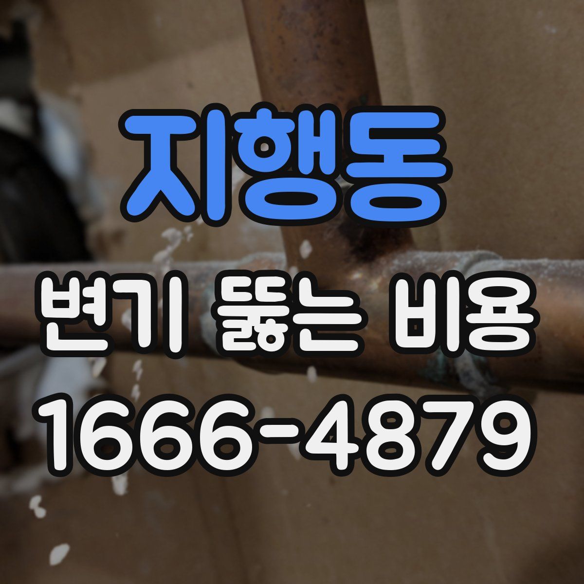 지행동 변기 뚫는 비용