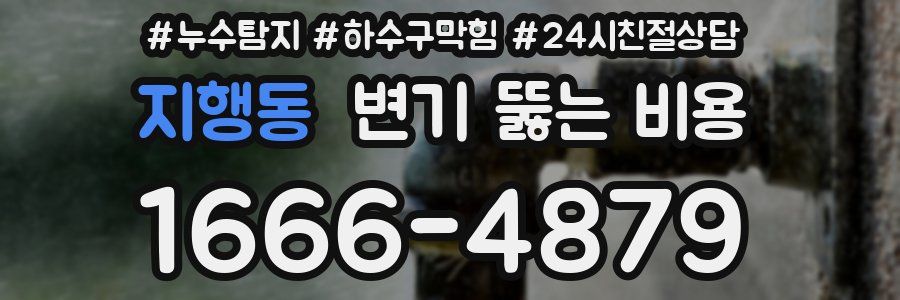 지행동 변기 뚫는 비용