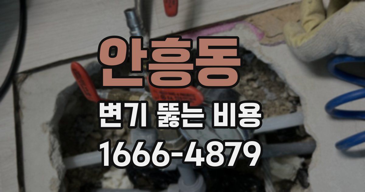 안흥동 변기 뚫는 비용