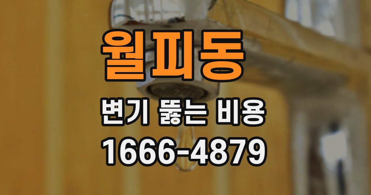 월피동 변기 뚫는 비용