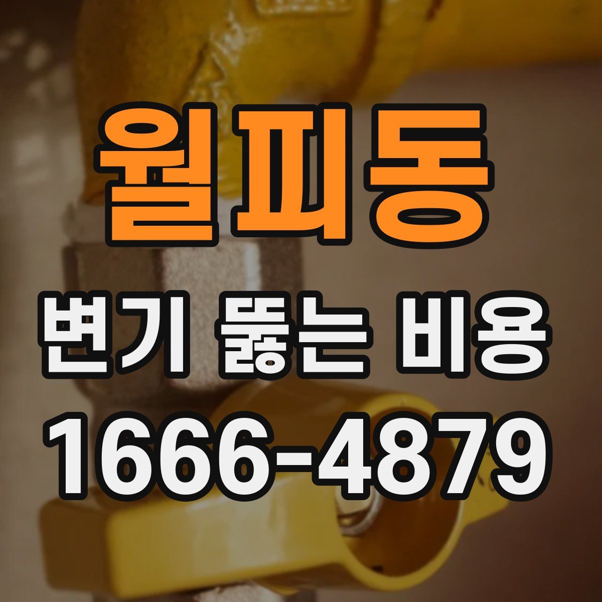 월피동 변기 뚫는 비용