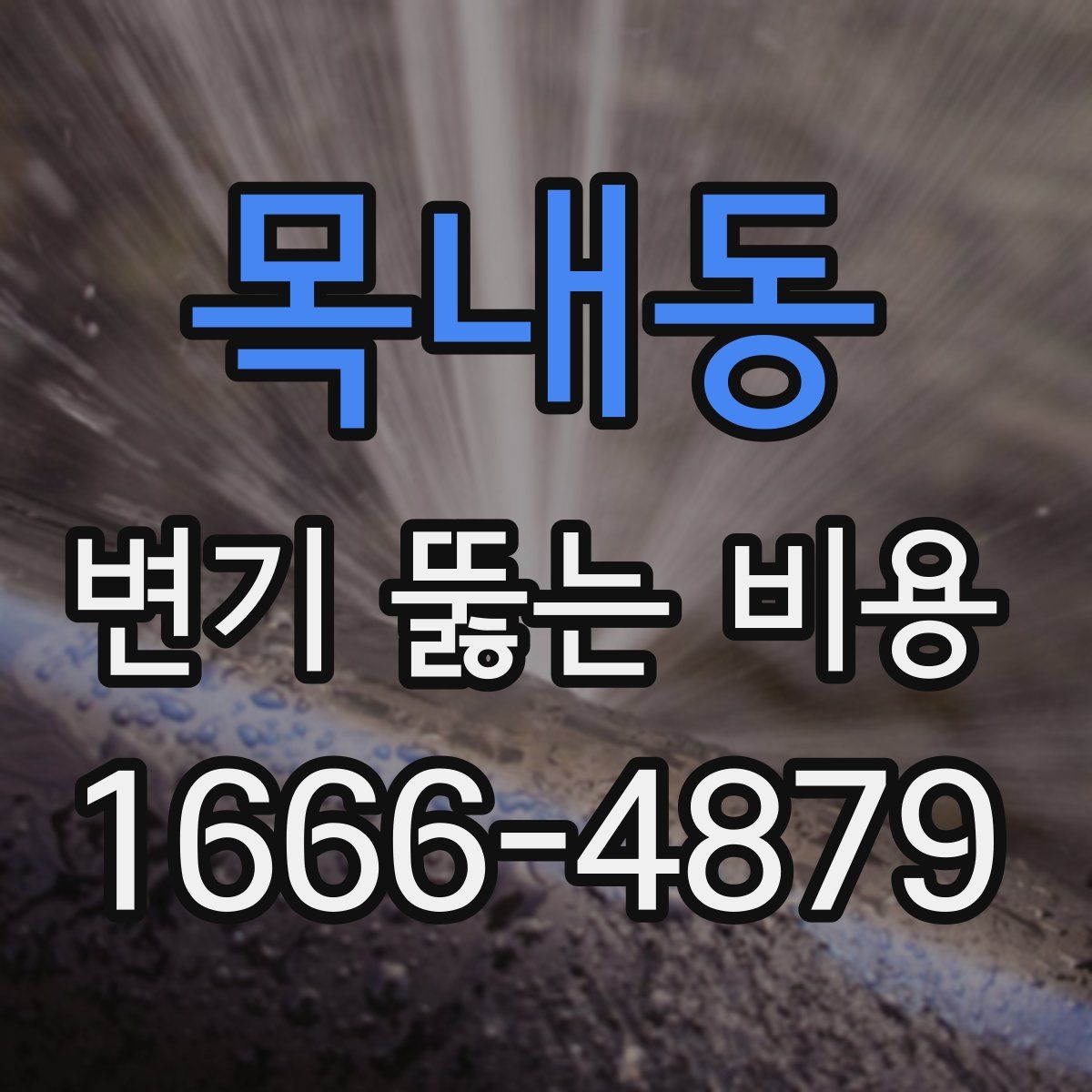 목내동 변기 뚫는 비용