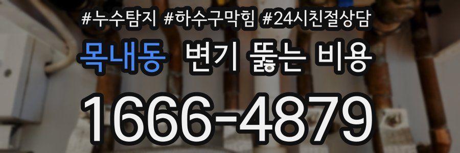 목내동 변기 뚫는 비용