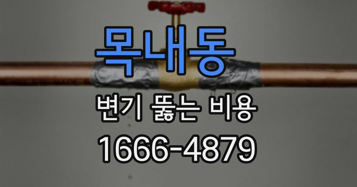 목내동 변기 뚫는 비용