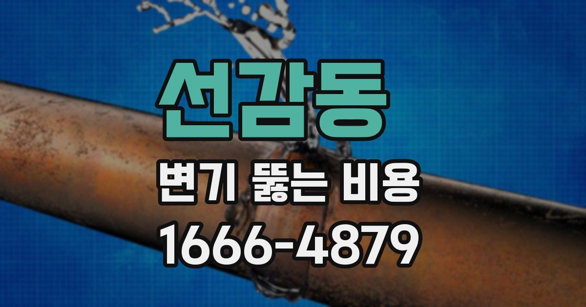 선감동 변기 뚫는 비용