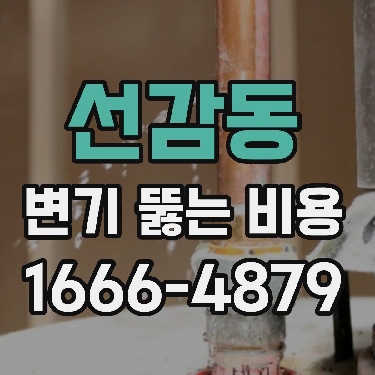 선감동 변기 뚫는 비용