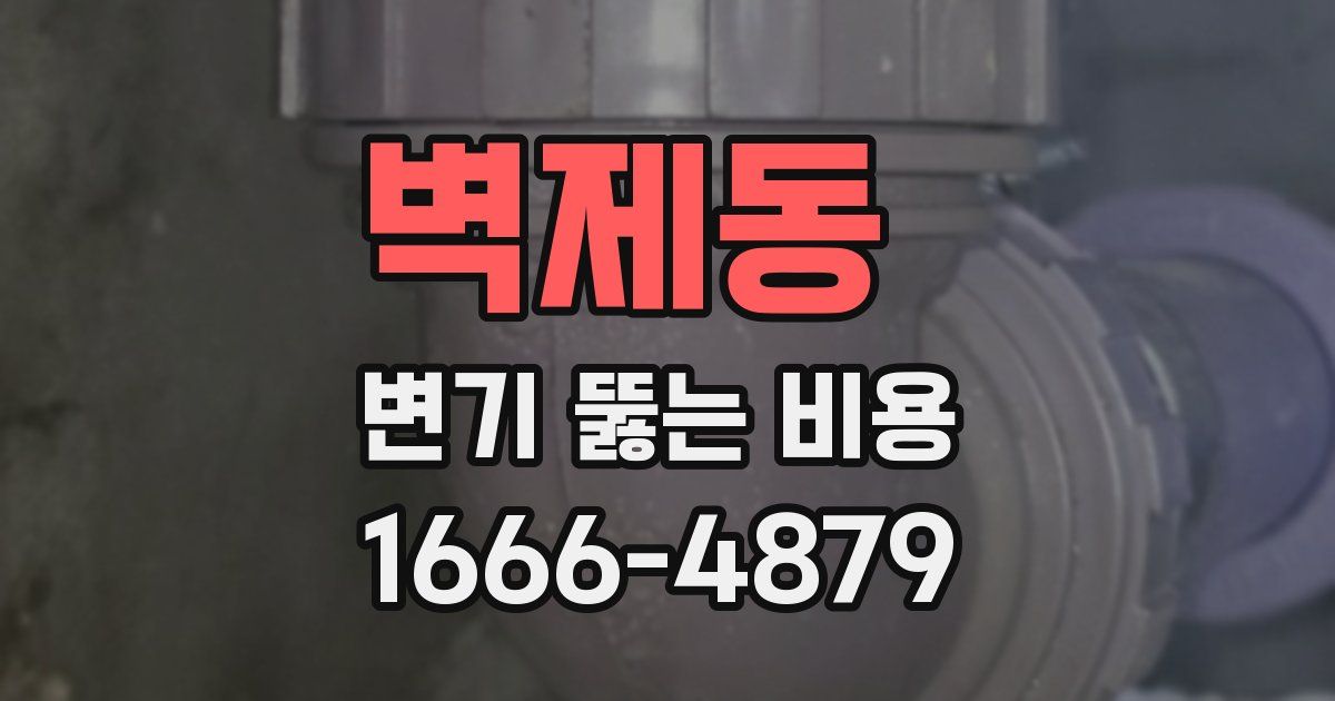 벽제동 변기 뚫는 비용