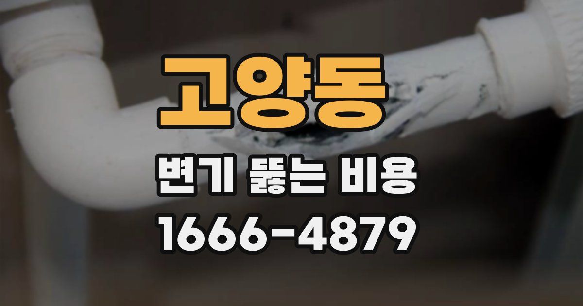 고양동 변기 뚫는 비용