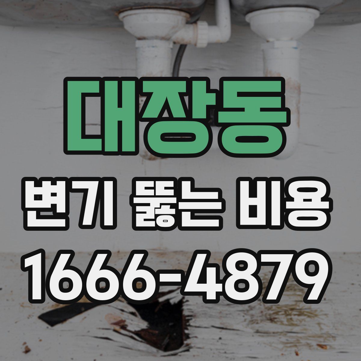 대장동 변기 뚫는 비용