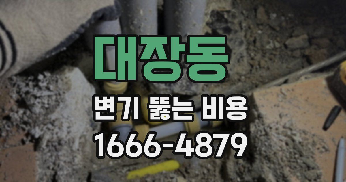 대장동 변기 뚫는 비용