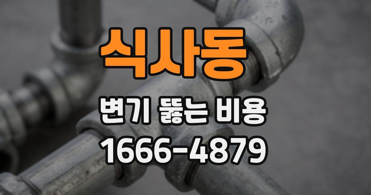 식사동 변기 뚫는 비용