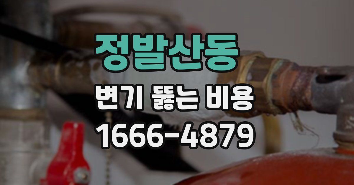 정발산동 변기 뚫는 비용