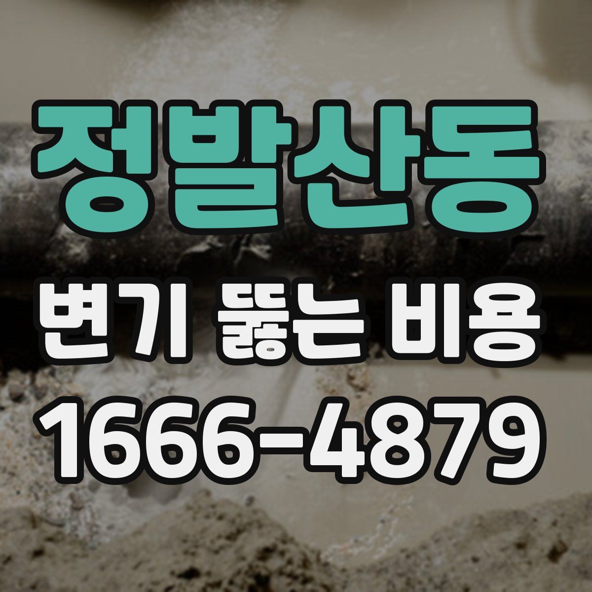 정발산동 변기 뚫는 비용