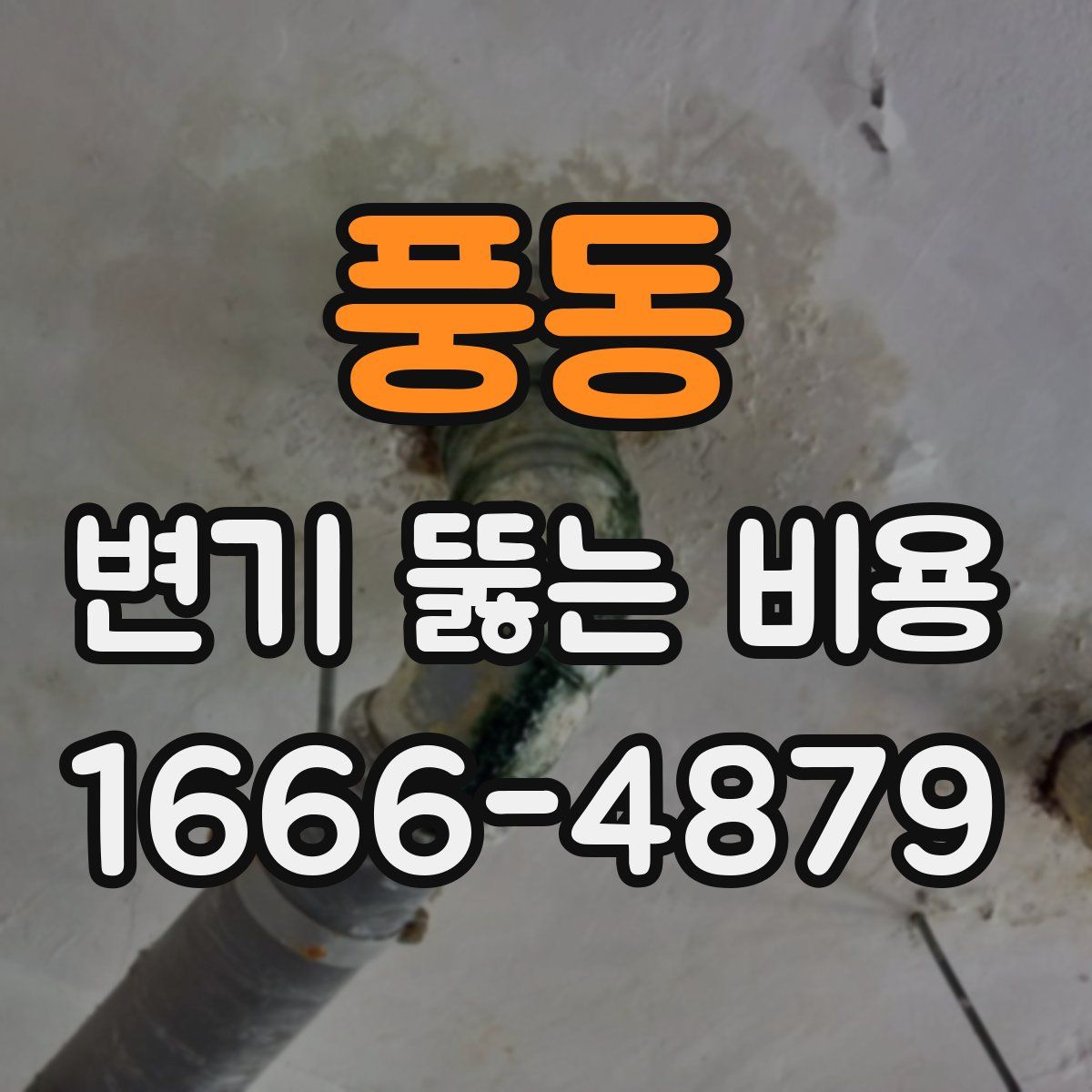 풍동 변기 뚫는 비용