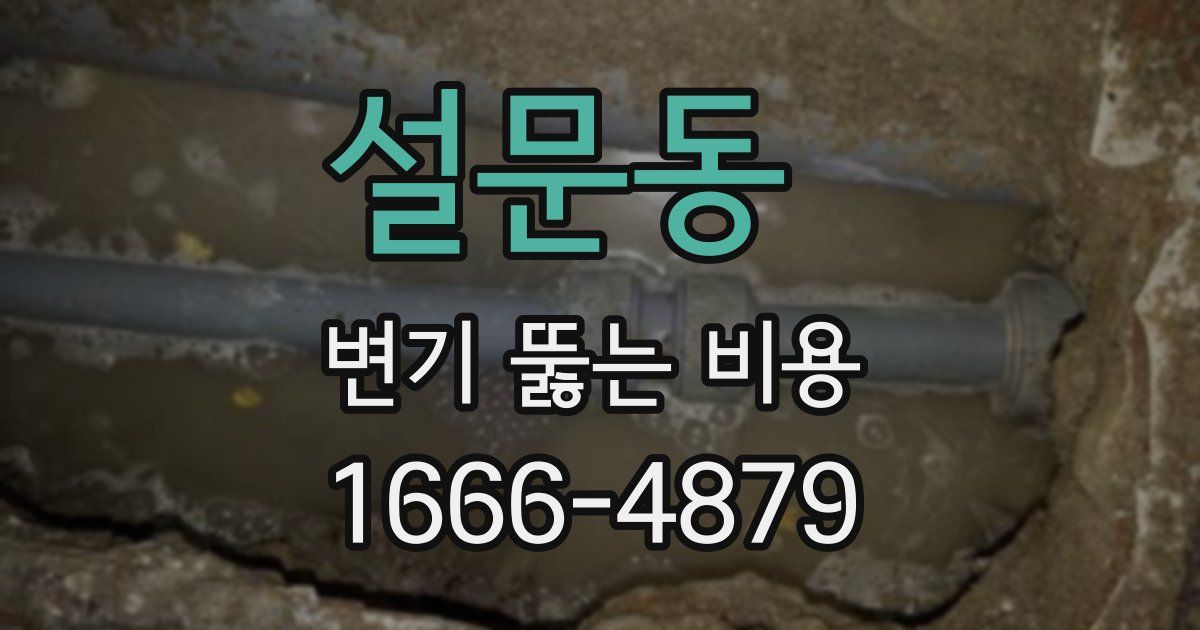 설문동 변기 뚫는 비용