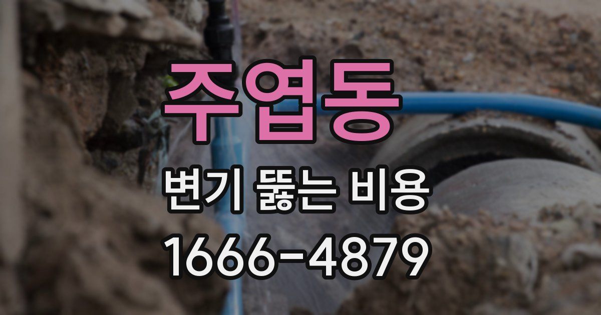 주엽동 변기 뚫는 비용