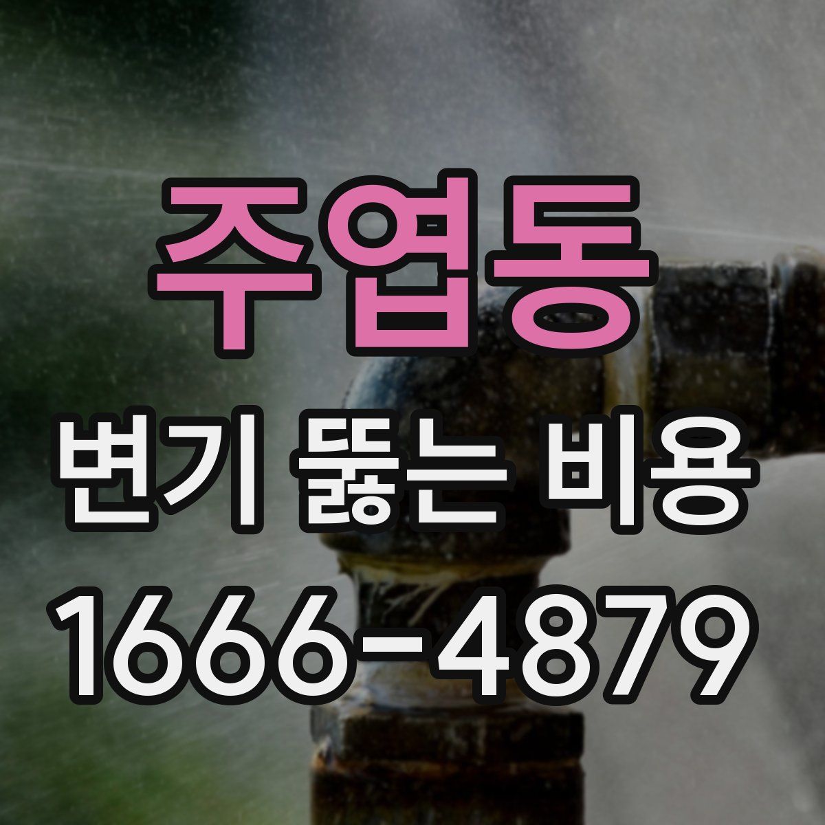 주엽동 변기 뚫는 비용