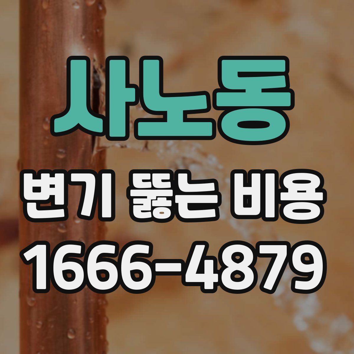 사노동 변기 뚫는 비용