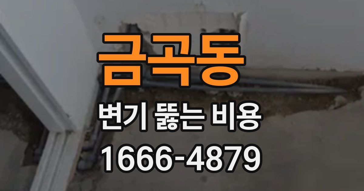 금곡동 변기 뚫는 비용