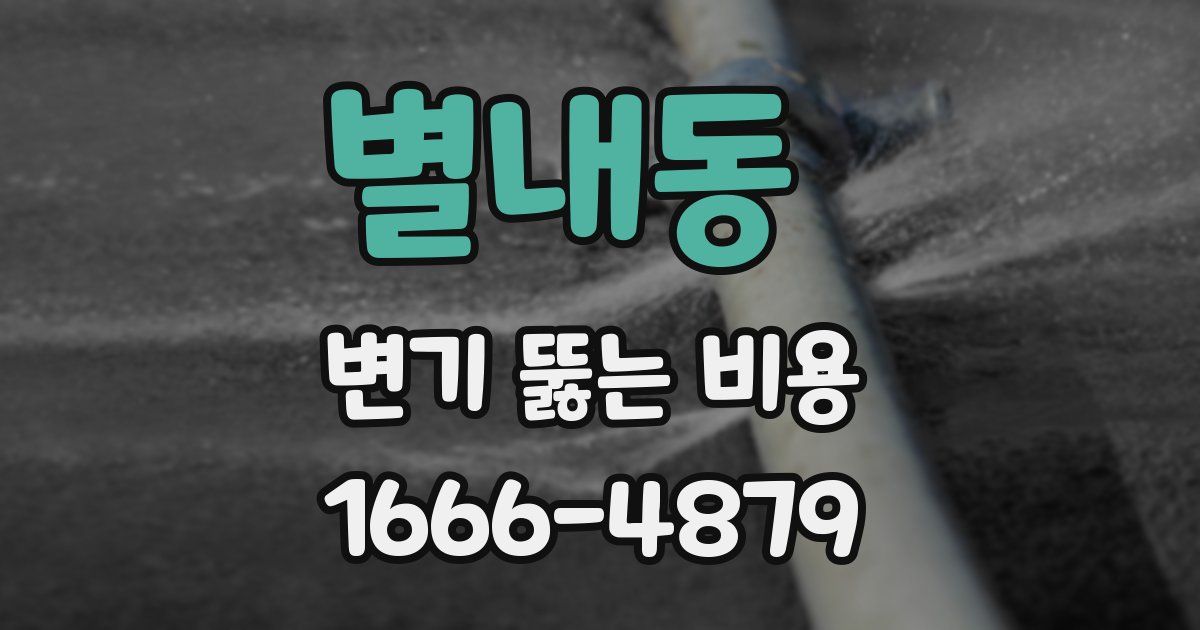 별내동 변기 뚫는 비용