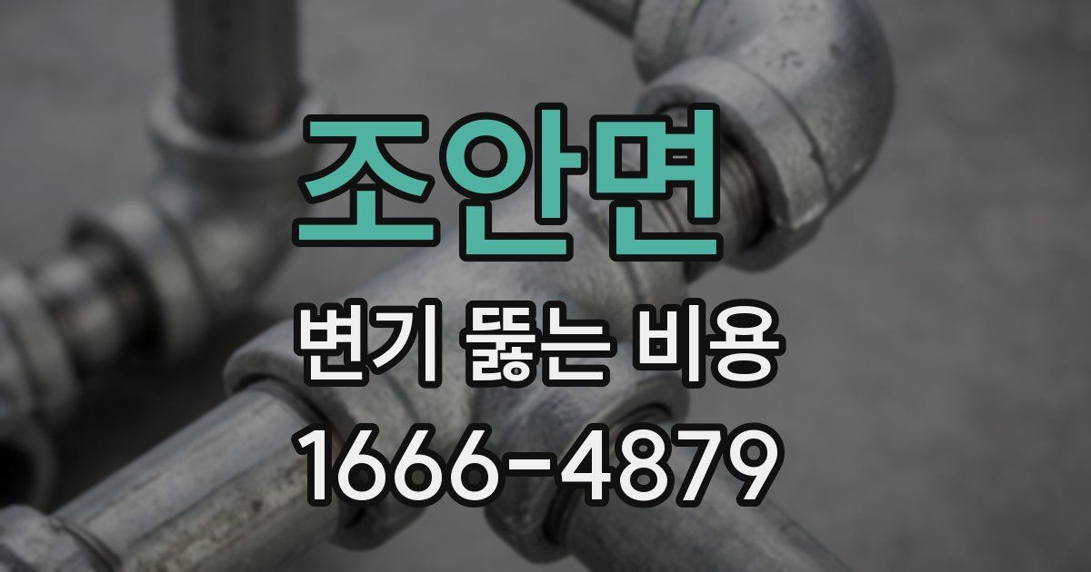 조안면 변기 뚫는 비용