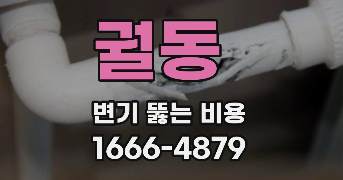 궐동 변기 뚫는 비용