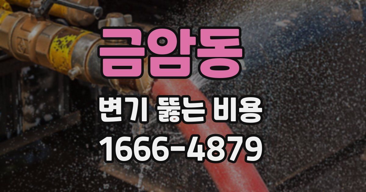 금암동 변기 뚫는 비용