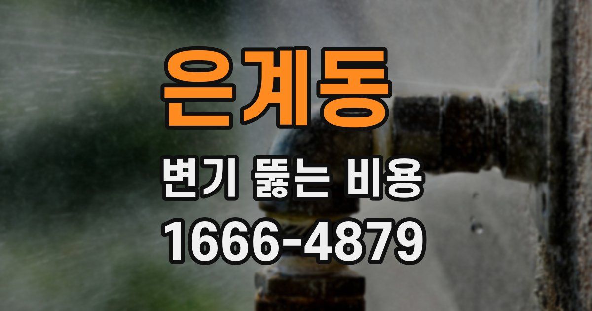 은계동 변기 뚫는 비용