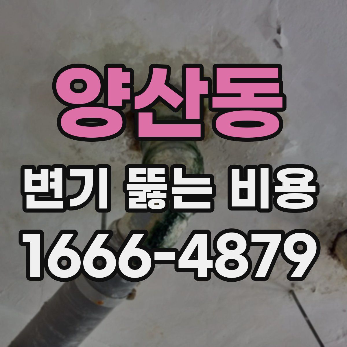 양산동 변기 뚫는 비용