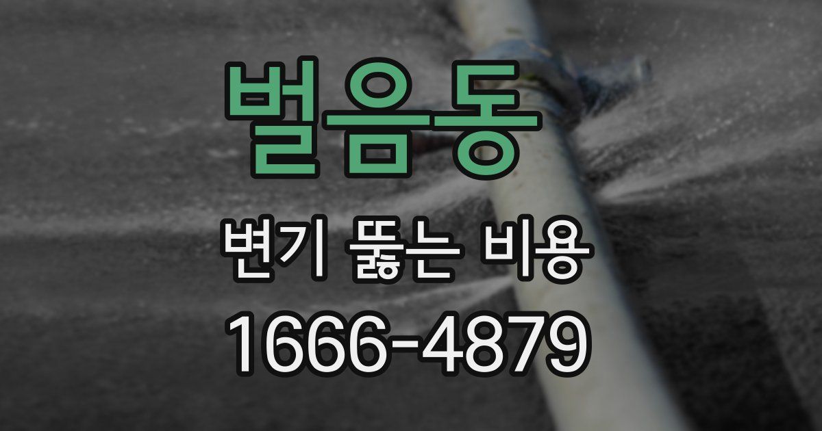 벌음동 변기 뚫는 비용
