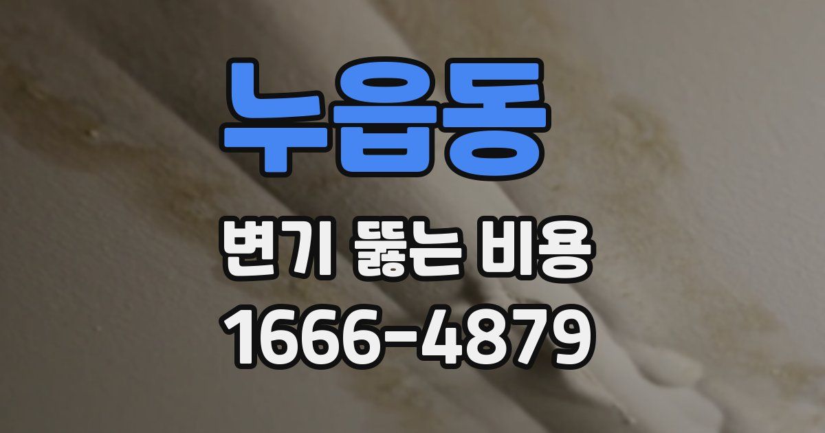 누읍동 변기 뚫는 비용